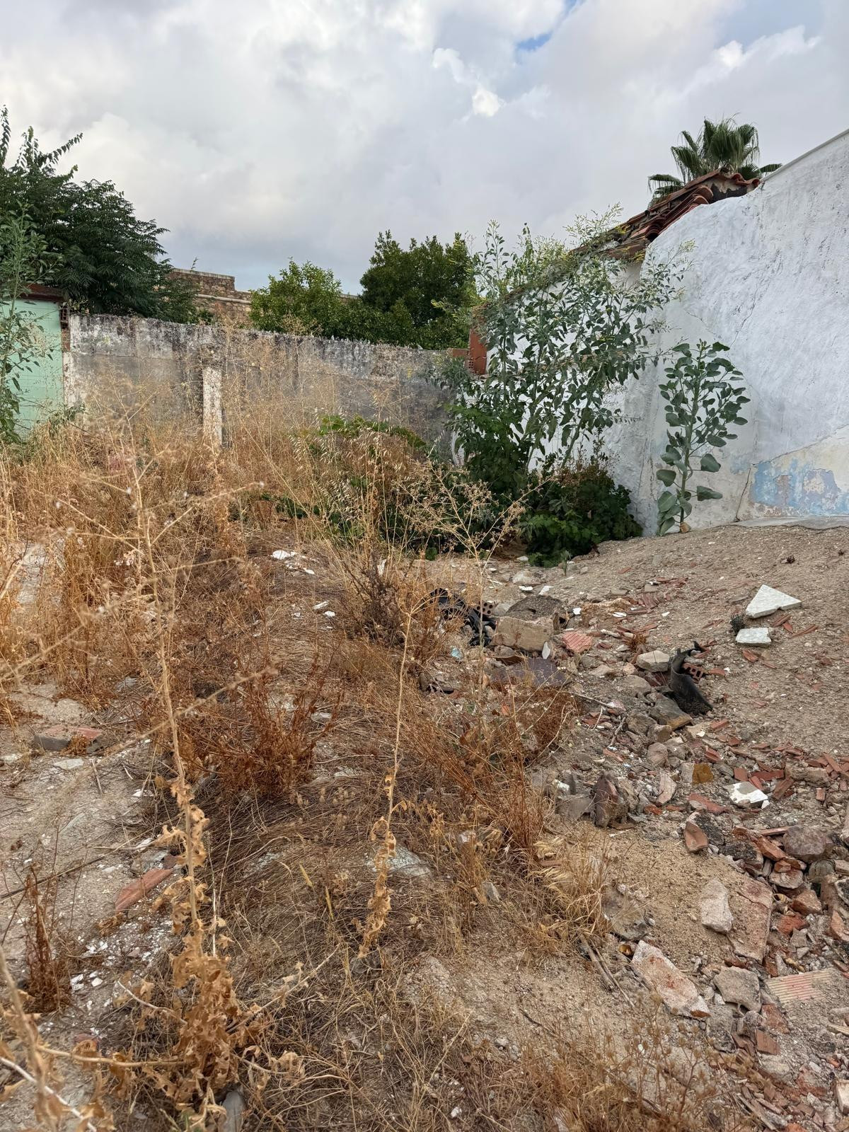 Terreno Ideal para Construir tu Hogar en Olivenza - foto 2