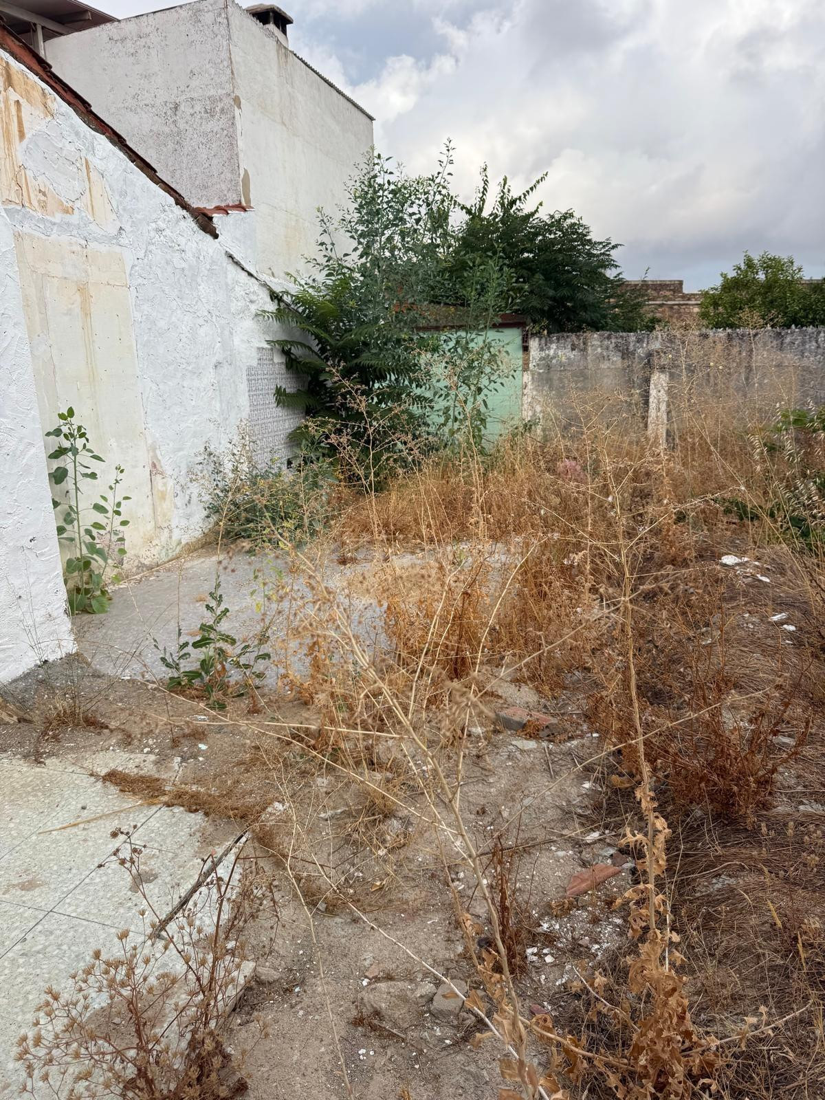 Terreno Ideal para Construir tu Hogar en Olivenza - foto 3