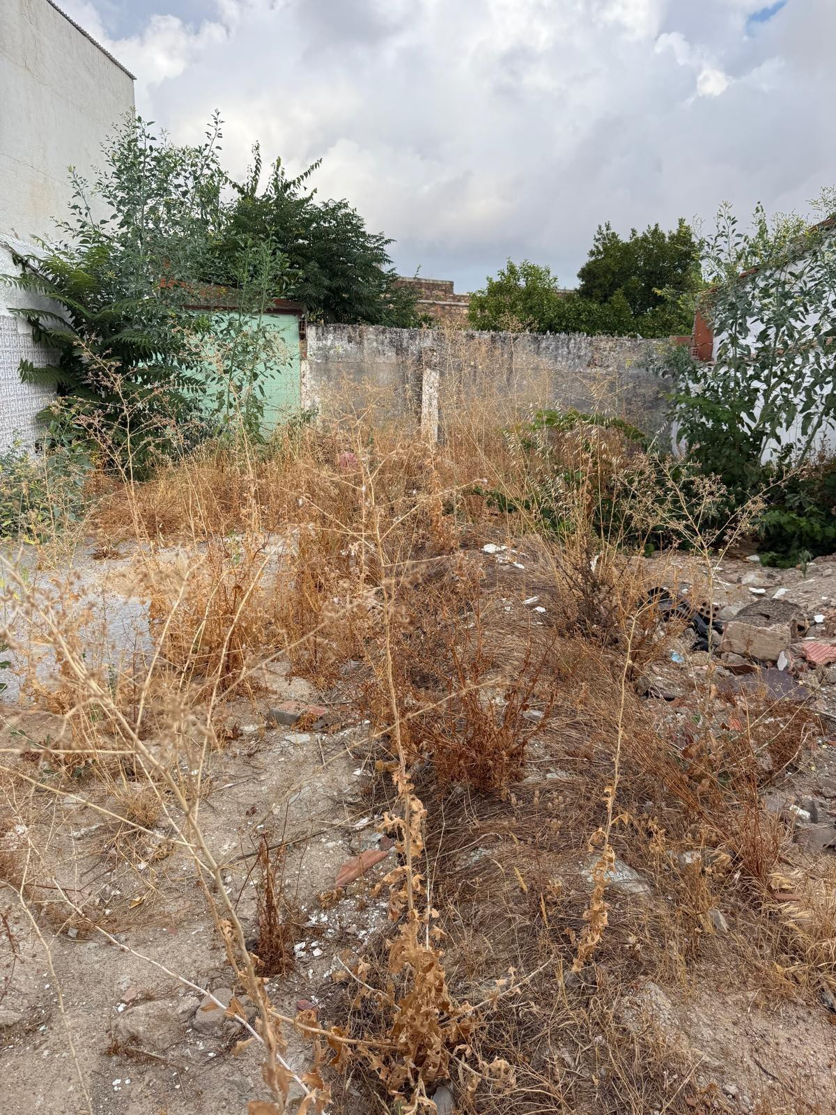 Terreno Ideal para Construir tu Hogar en Olivenza - foto 4