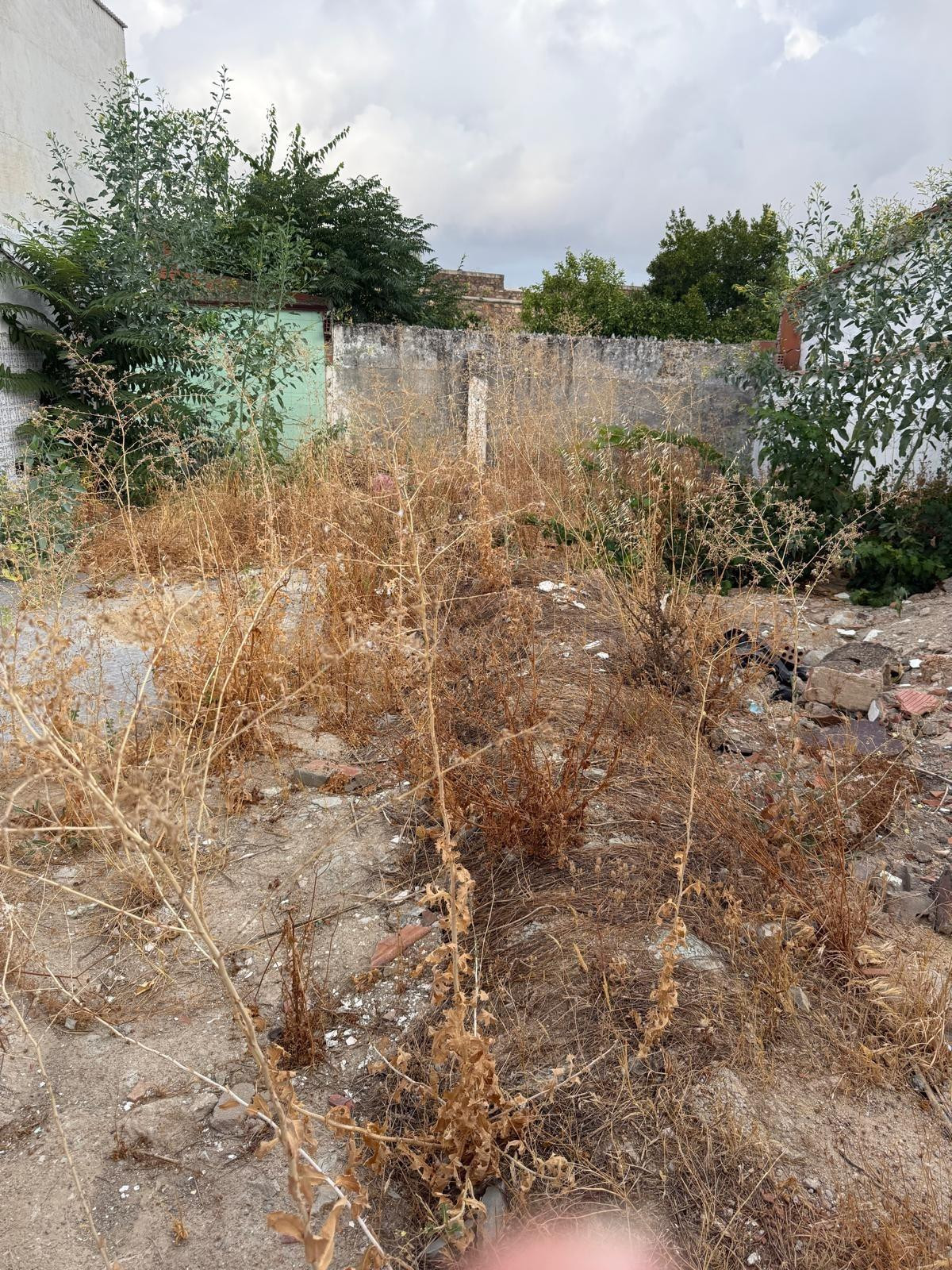 Terreno Ideal para Construir tu Hogar en Olivenza - foto 5