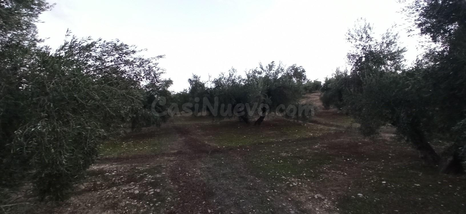 Terreno en Villatorres, al sitio de Pozo de la Teja
