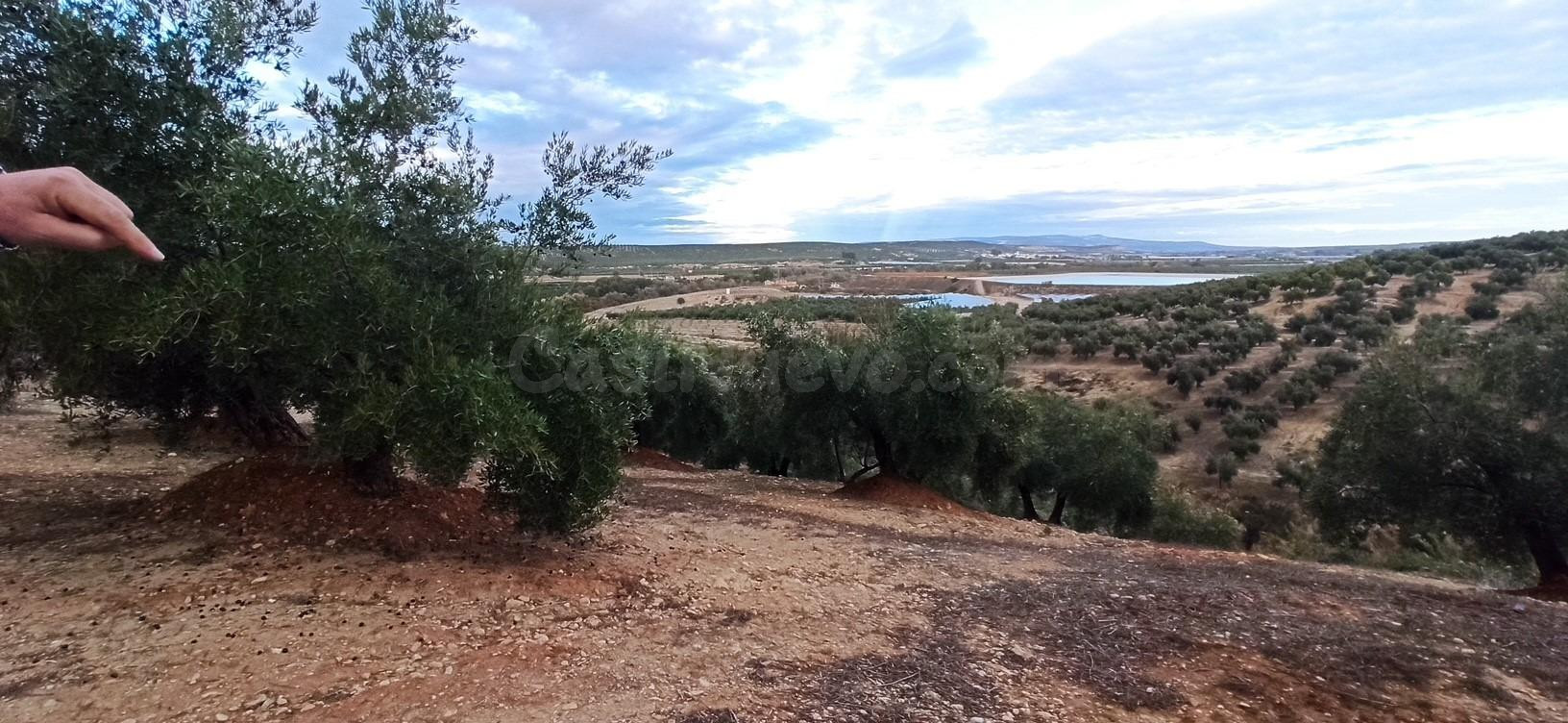 Terreno en Villatorres al sitio Piedra del Altar, Polígono 3 - foto 3