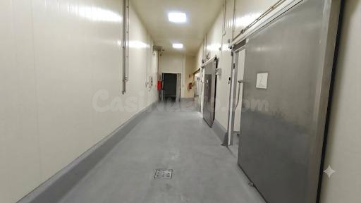 FANTÁSTICA NAVE CON CÁMARAS FRIGORÍFICAS. IDEAL PARA SECTOR  - foto 4