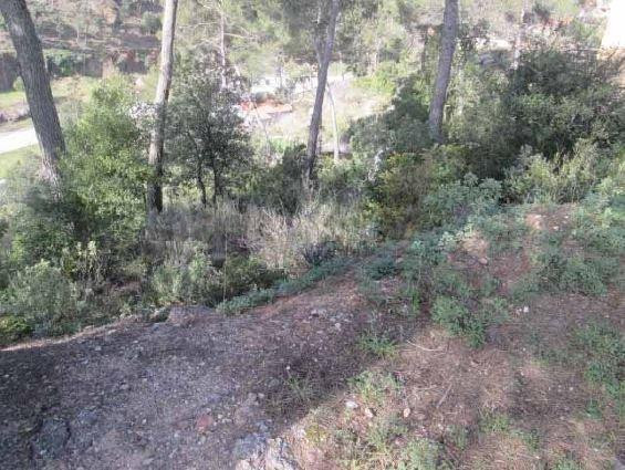 Parcela en Sant llorenç Savall