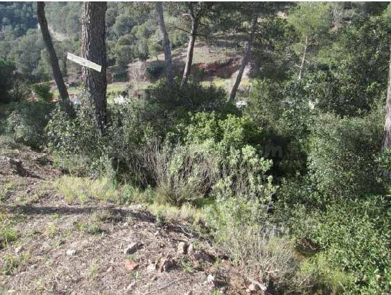 Parcela en Sant llorenç Savall - foto 2