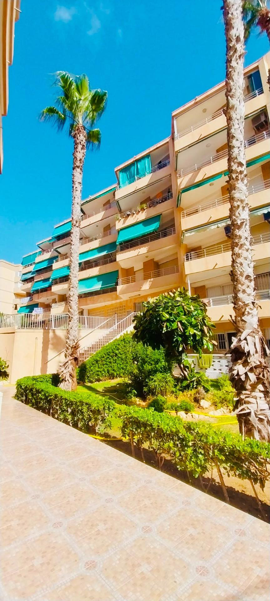 Piso totalmente exterior a pocos pasos del mar en Guardamar.