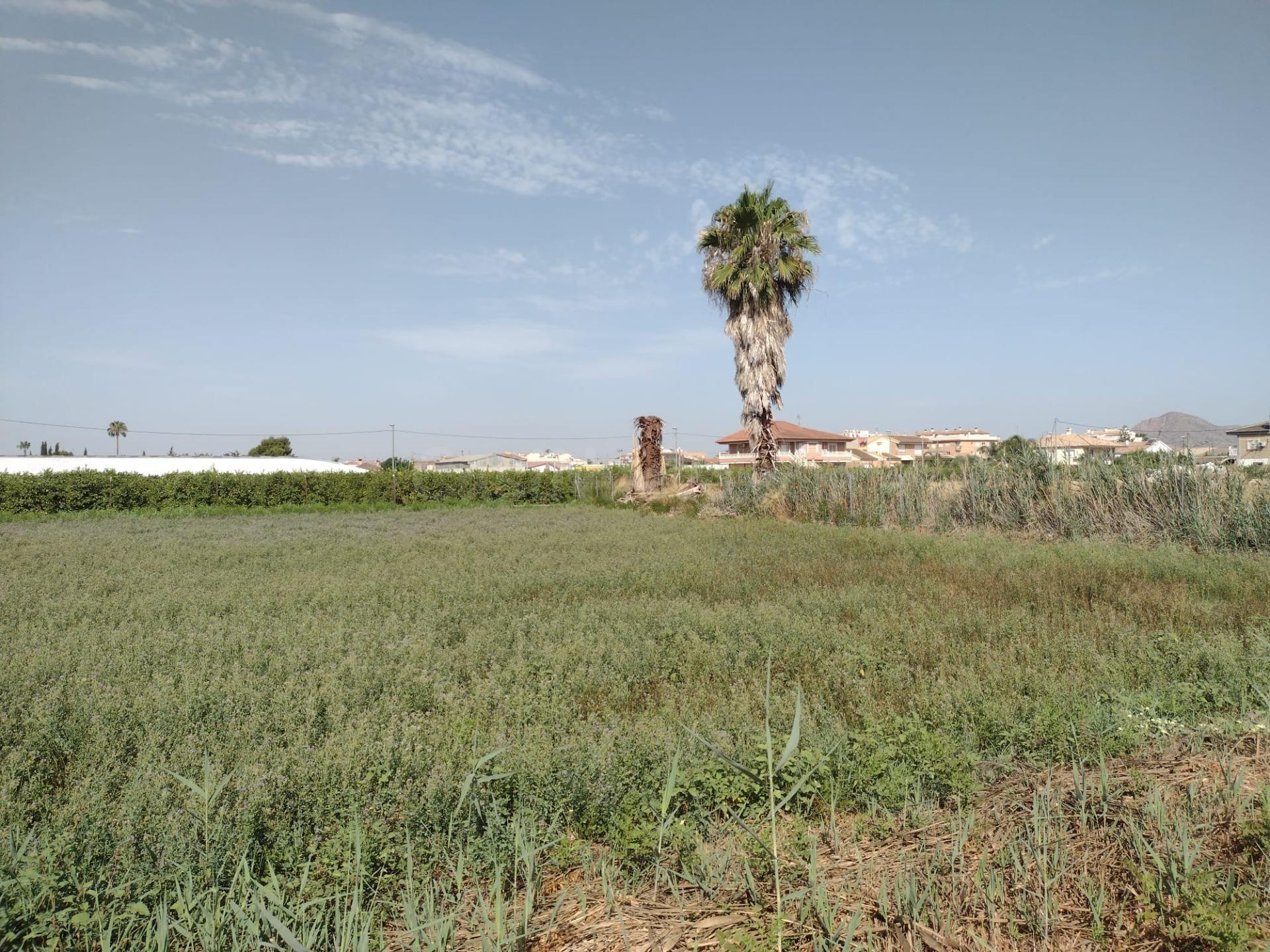 ¡Se vende terreno urbanizable en El Raal!