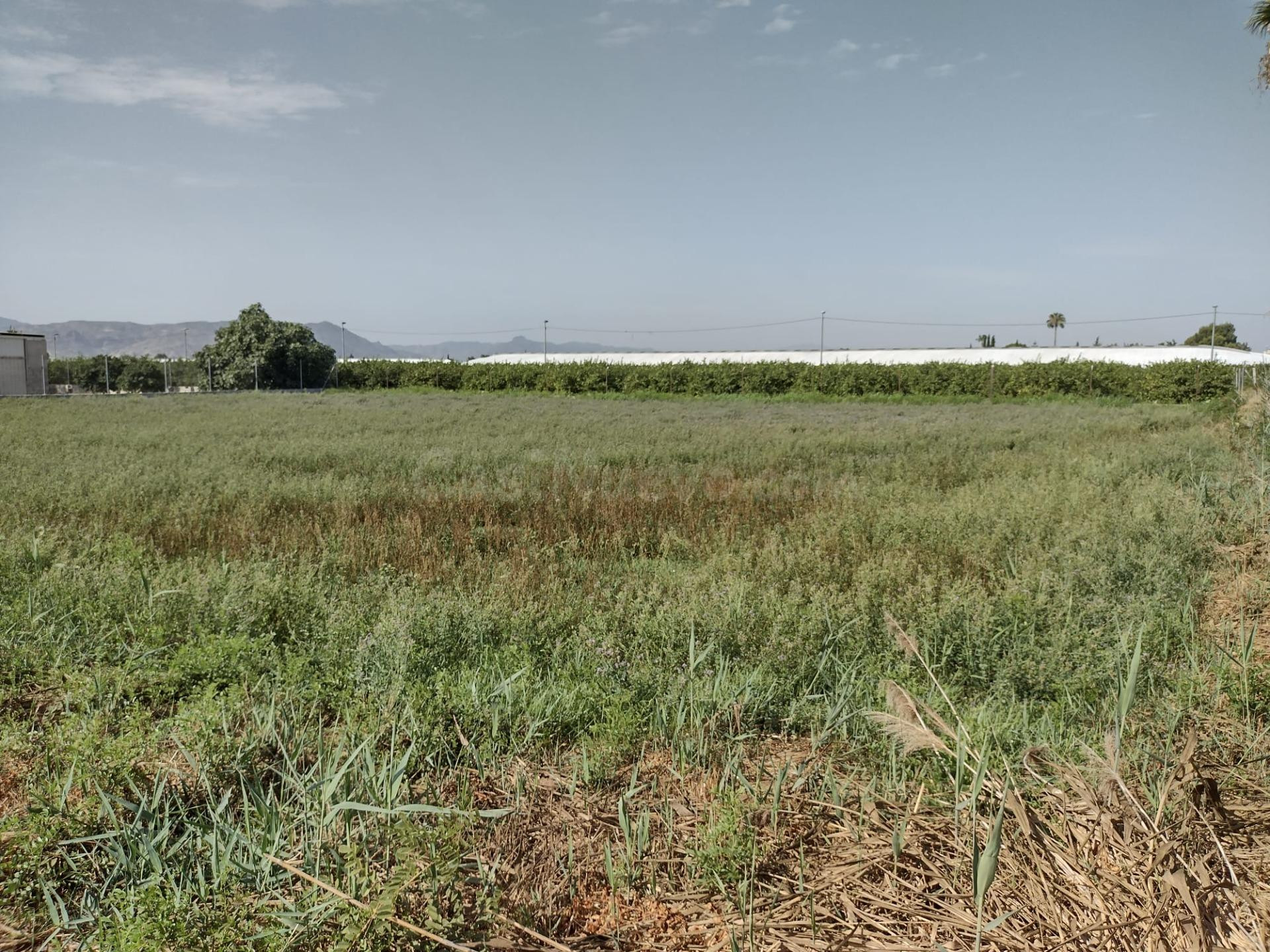 ¡Se vende terreno urbanizable en El Raal! - foto 2