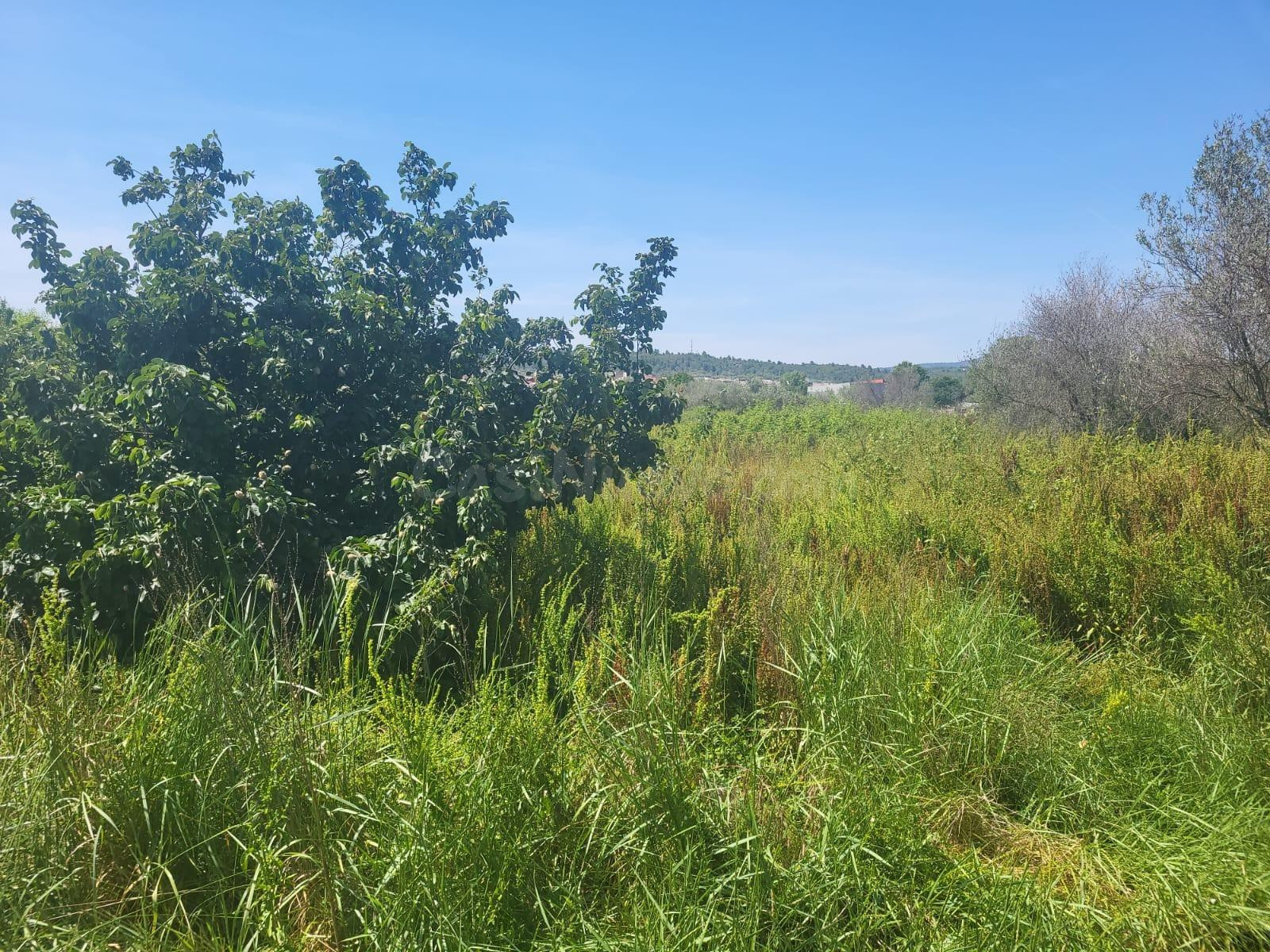 FINCA RUSTICA CERCA DEL REGALL ZONA DE HUERTA