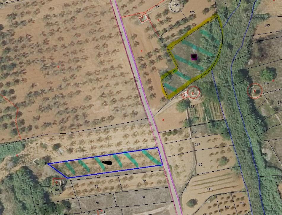 DOS FINCAS RUSTICAS EN VENTA UNA DE REGADIO Y OTRA DE SECANO EN ZONA JUNCOSA PLA DE LARC