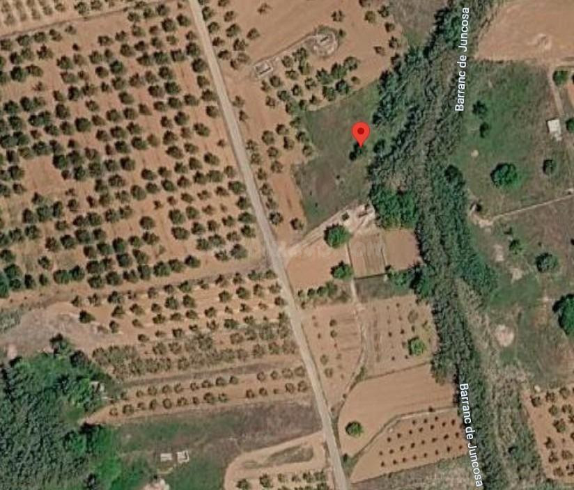DOS FINCAS RUSTICAS EN VENTA UNA DE REGADIO Y OTRA DE SECANO EN ZONA JUNCOSA PLA DE LARC - foto 2