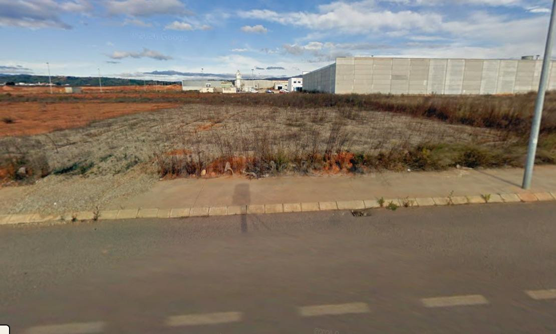 PARCELA INDUSTRIAL - foto 5