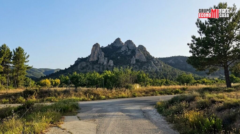 FINCA RÚSTICA DE REGADÍO EN SAX – 12033 m2 CON SISTEMA DE RIEGO