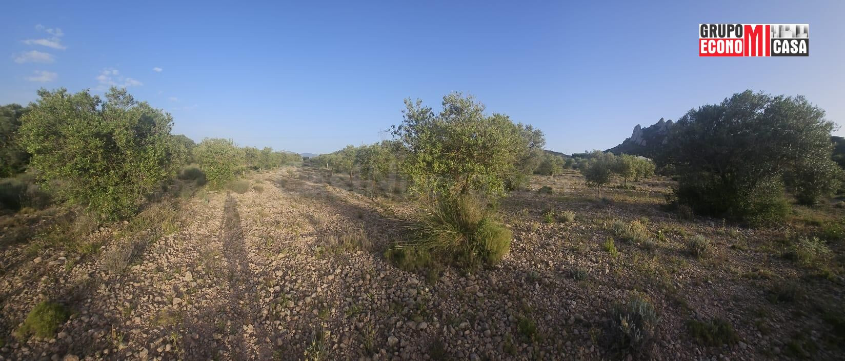 FINCA RÚSTICA DE REGADÍO EN SAX – 12033 m2 CON SISTEMA DE RI - foto 2