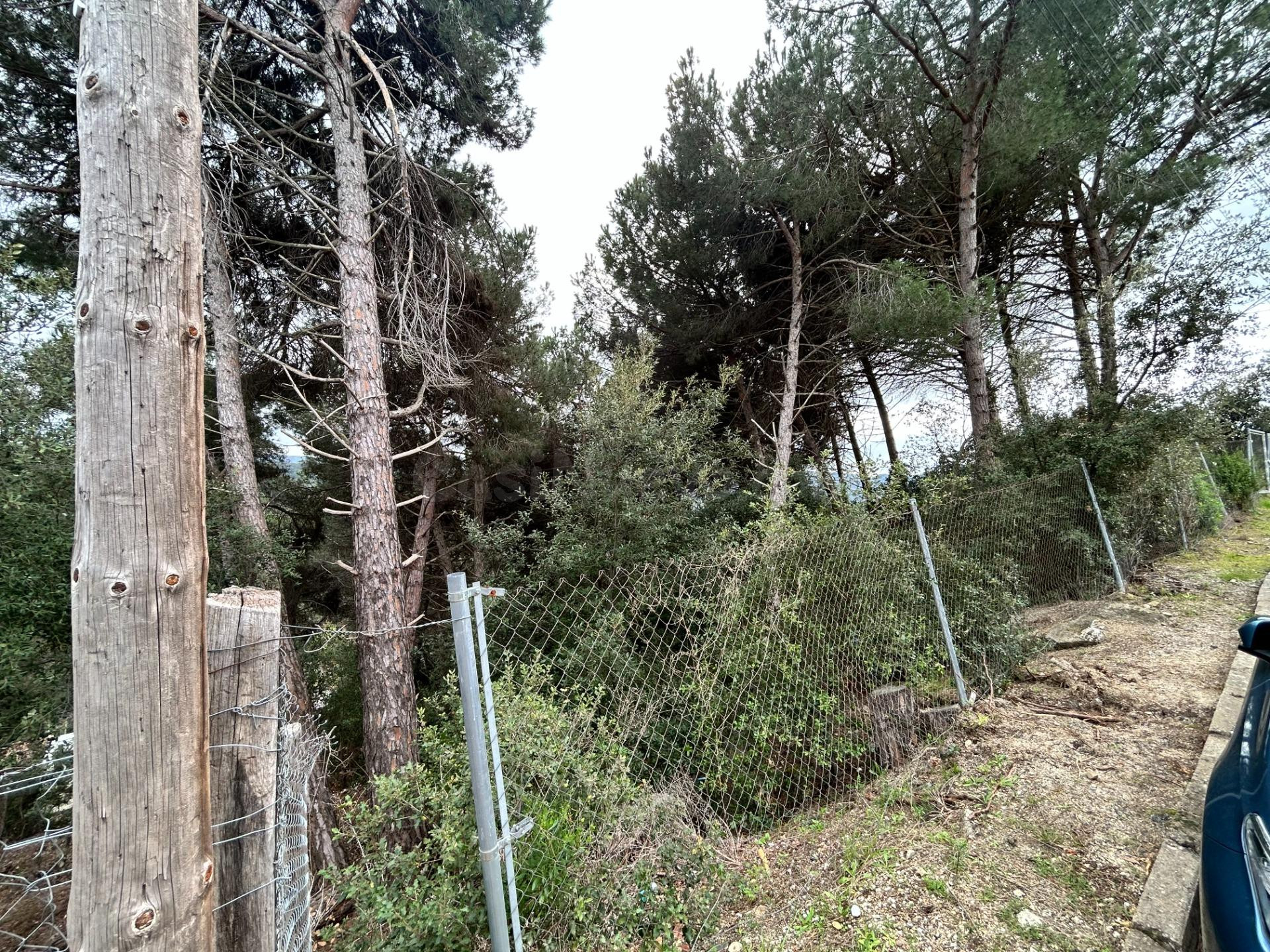 Oportunidad Única: Parcela en la Exclusiva Urbanización de C - foto 3