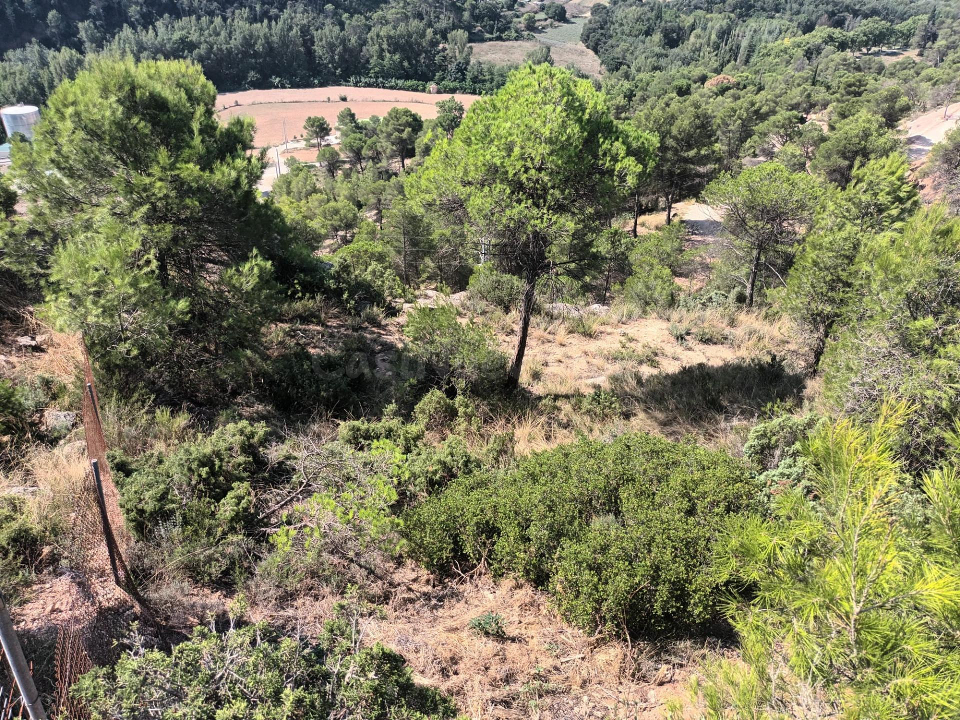 PARCELA URBANA DE 1900M2 EN URB. LES GARRIGUES - foto 4