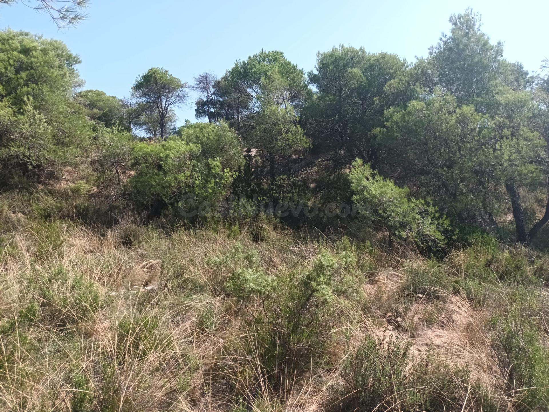 PARCELA URBANA DE 1900M2 EN URB. LES GARRIGUES - foto 5