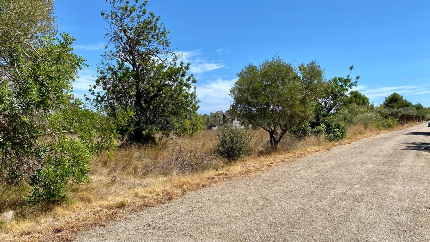 PARCELA DE TERRENO URBANO CON UNA SUPERFICIE DE 2.404 M2 EN  - foto 2