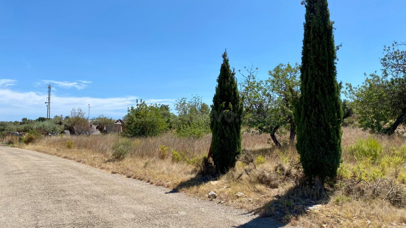 PARCELA DE TERRENO URBANO CON UNA SUPERFICIE DE 2.404 M2 EN  - foto 3