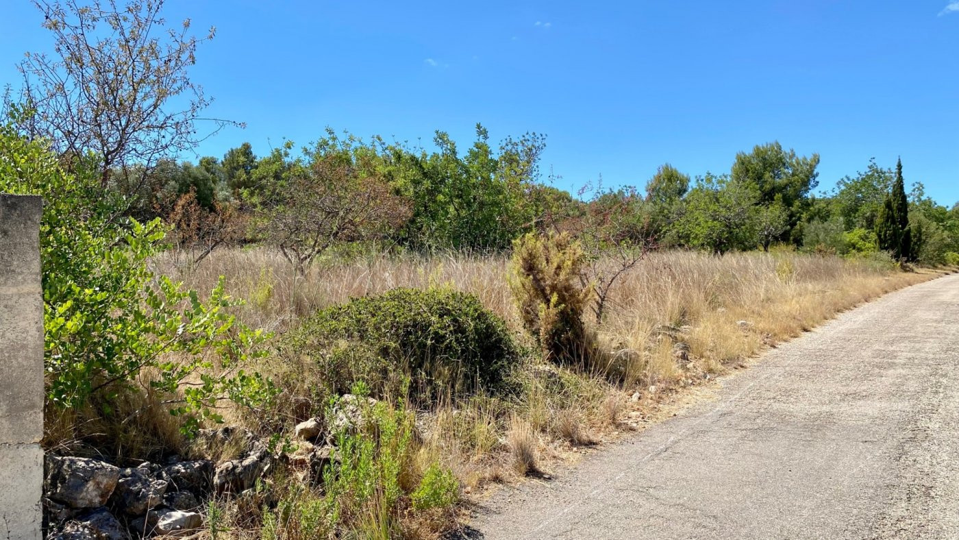 PARCELA DE TERRENO URBANO CON UNA SUPERFICIE DE 2.404 M2 EN  - foto 4