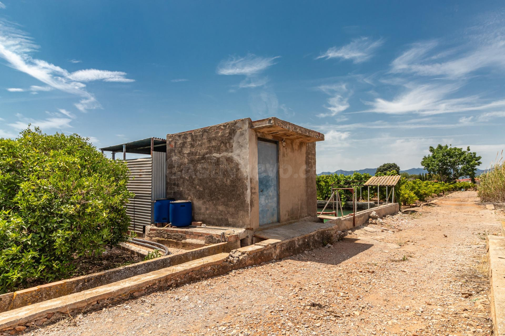TERRENO RUSTICO EN PARTIDA PINELLA (VILA-REAL)