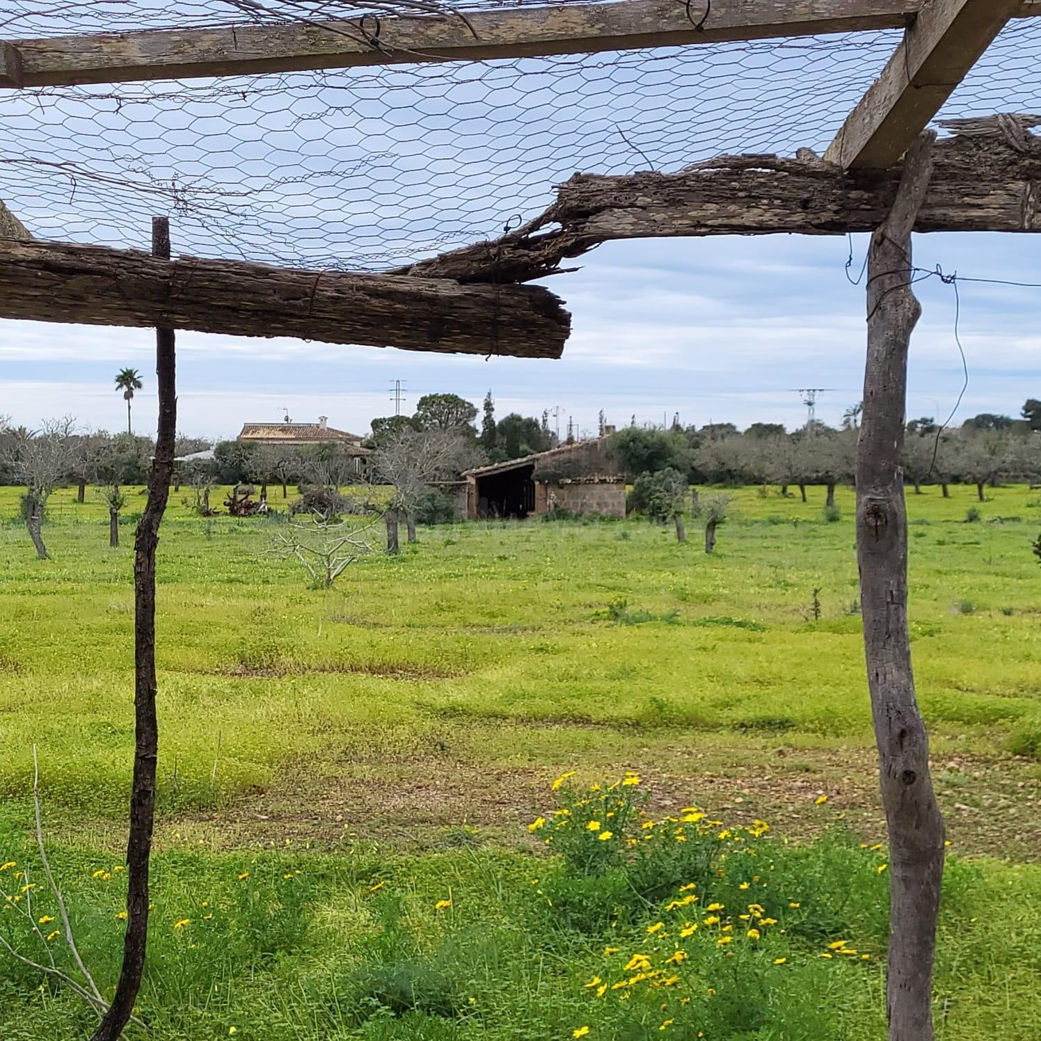 Gran Oportunidad en Llucmajor, Zona Arenal - foto 2