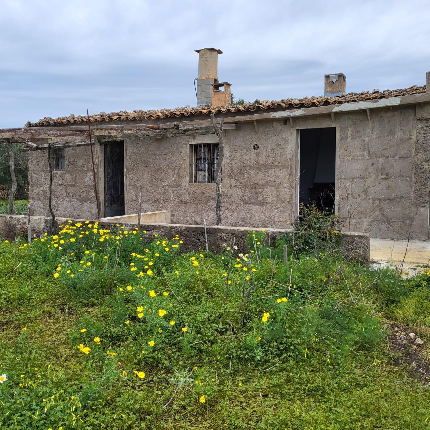 Gran Oportunidad en Llucmajor, Zona Arenal - foto 3