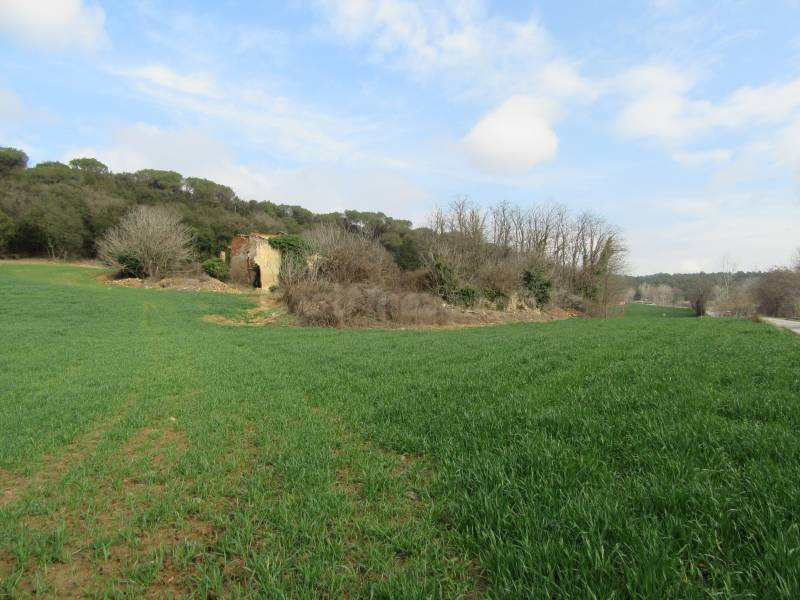 SANTA MARIA DE PALAUTORDERA (C-35): GRAN TERRENO CON INCREIB - foto 4