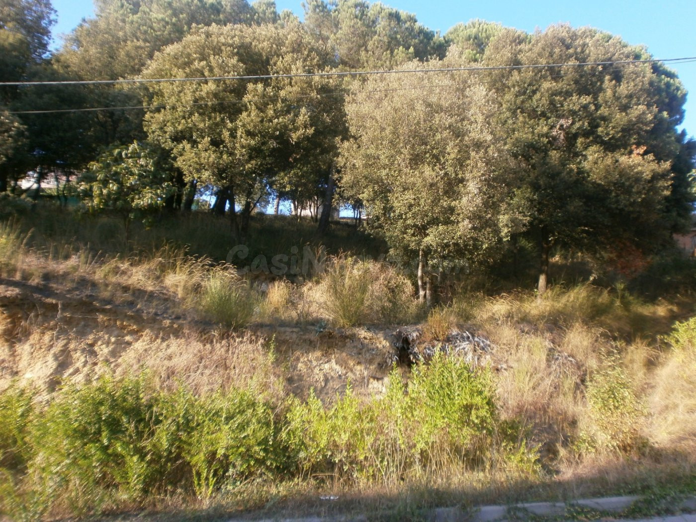 STA Mª DE PALAUTORDERA (CAN BOSCH): GRAN PARCEL·LA EN VENDA  - foto 2