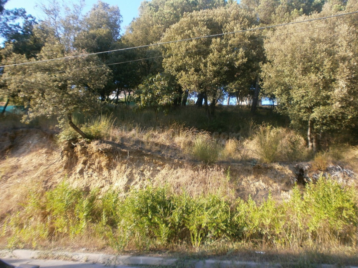STA Mª DE PALAUTORDERA (CAN BOSCH): GRAN PARCEL·LA EN VENDA  - foto 3