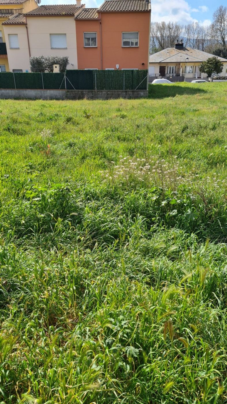 TERRENO ECONÓMICO URBANO EN EL TEMPLE
