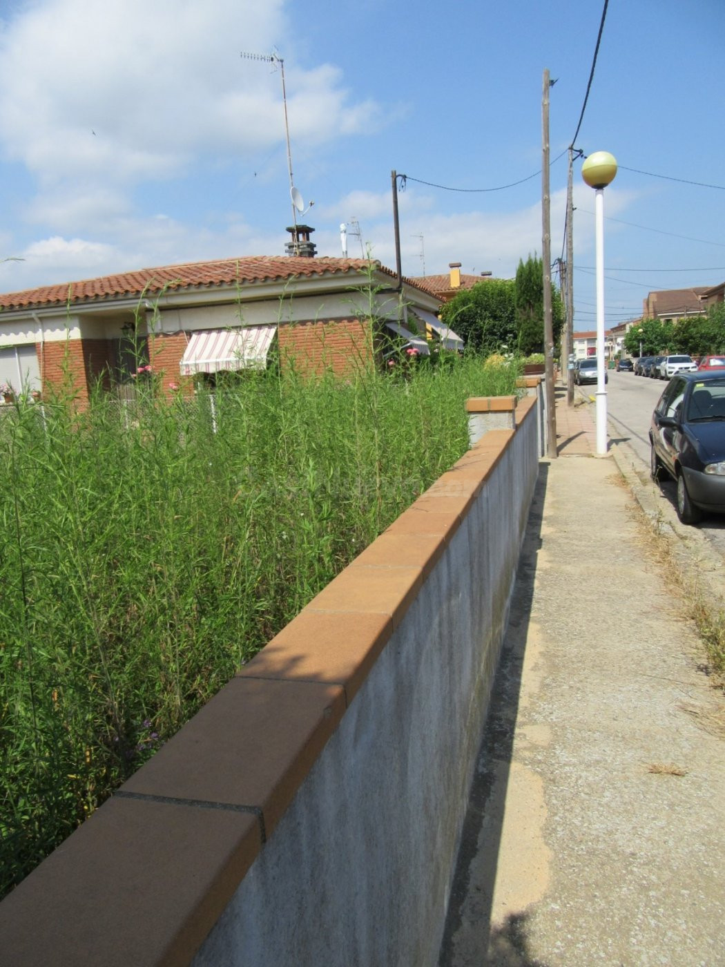 RIELLS I VIABREA (PUEBLO): SOLAR URBANO APTO PARA MÁXIMO 3 V - foto 4