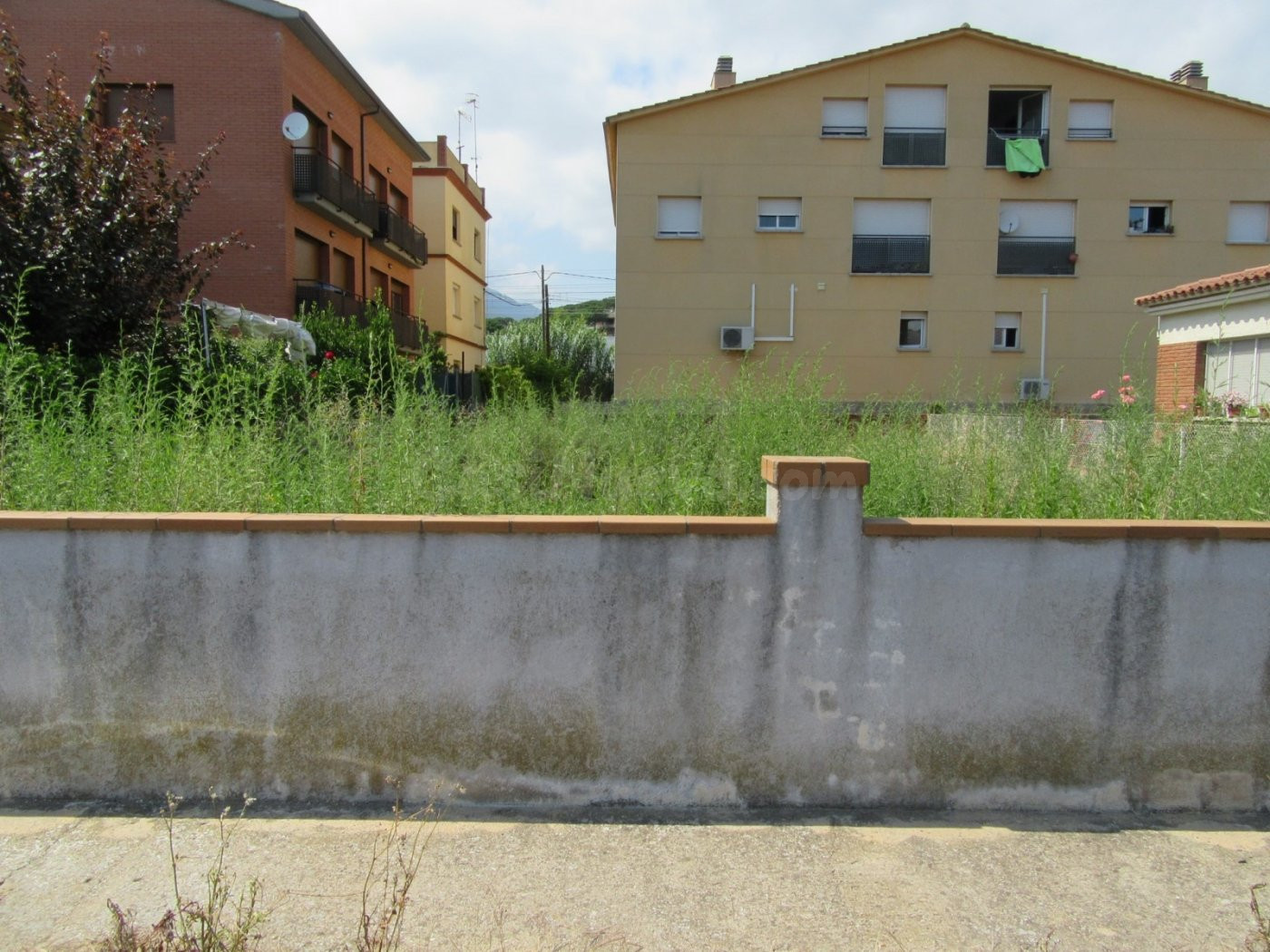 RIELLS I VIABREA (PUEBLO): SOLAR URBANO APTO PARA MÁXIMO 3 V - foto 5