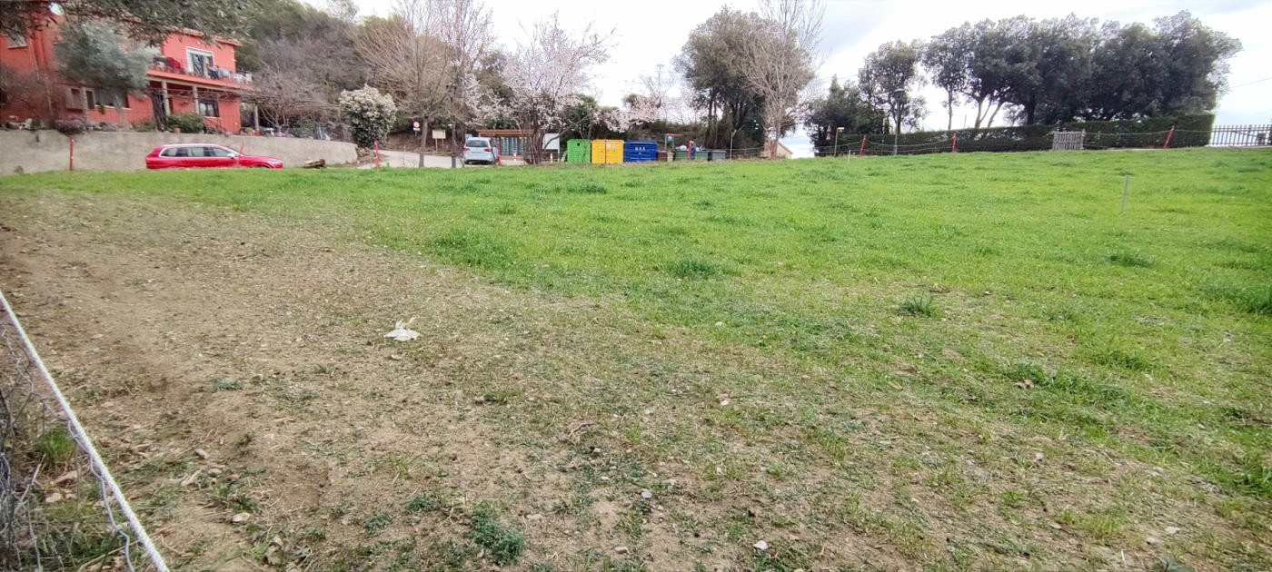 CAMPINS (PUEBLO): TERRENO URBANO NO CONSOLIDADO APTO PARA 3  - foto 3
