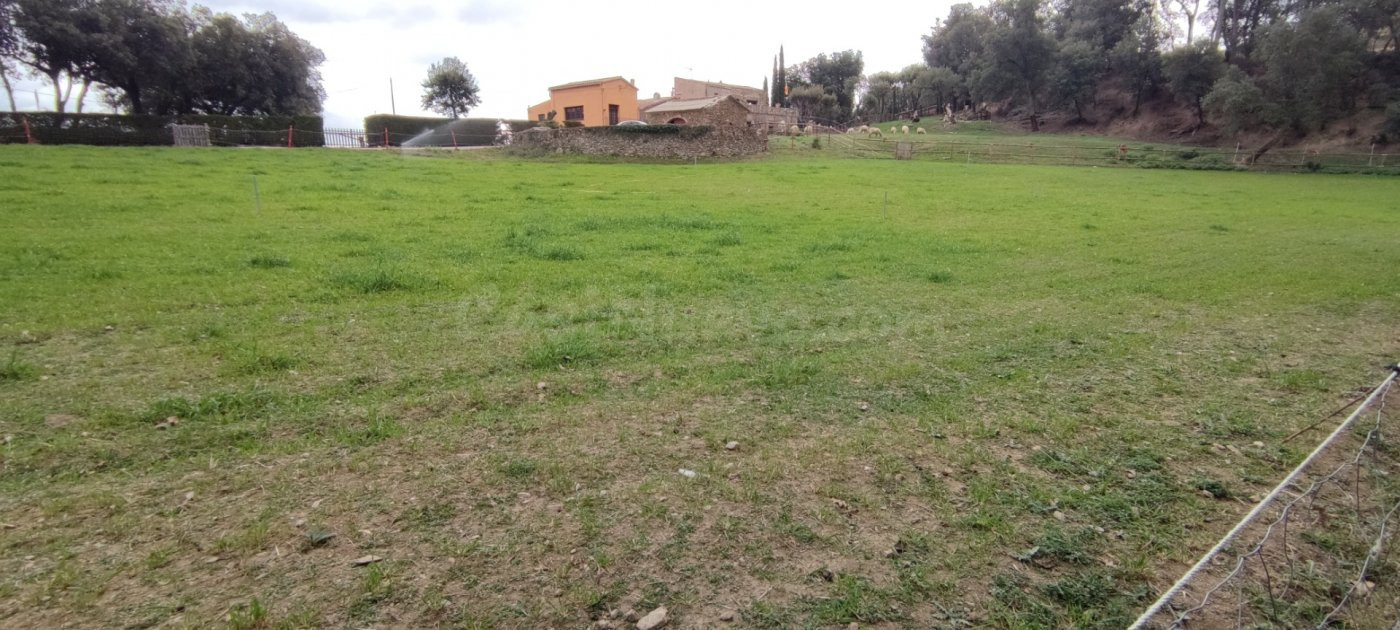 CAMPINS (PUEBLO): TERRENO URBANO NO CONSOLIDADO APTO PARA 3  - foto 4