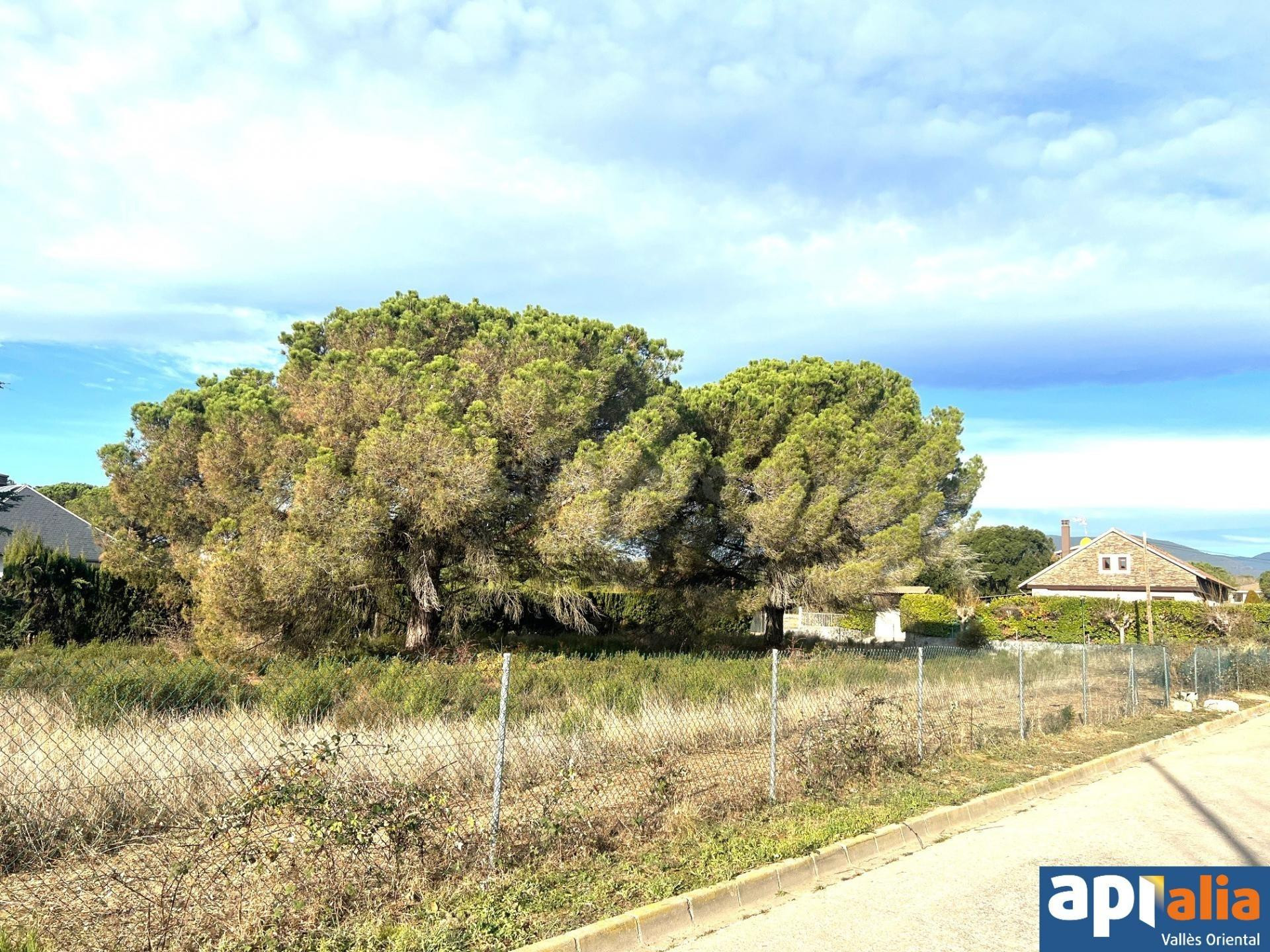 TERRENO ENTRE LLINARS Y CARDEDEU APTO PARA EDIFICAR UNIFAMIL