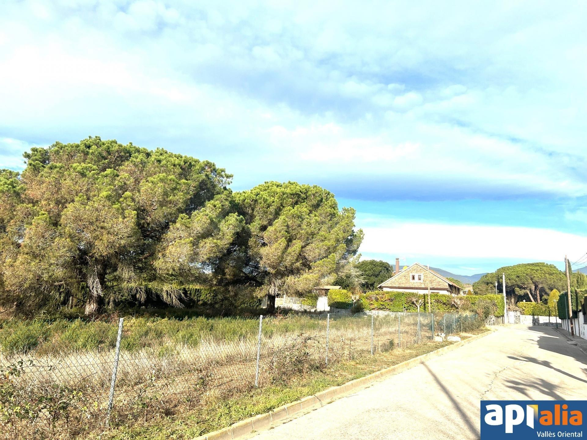 TERRENO ENTRE LLINARS Y CARDEDEU APTO PARA EDIFICAR UNIFAMIL - foto 5