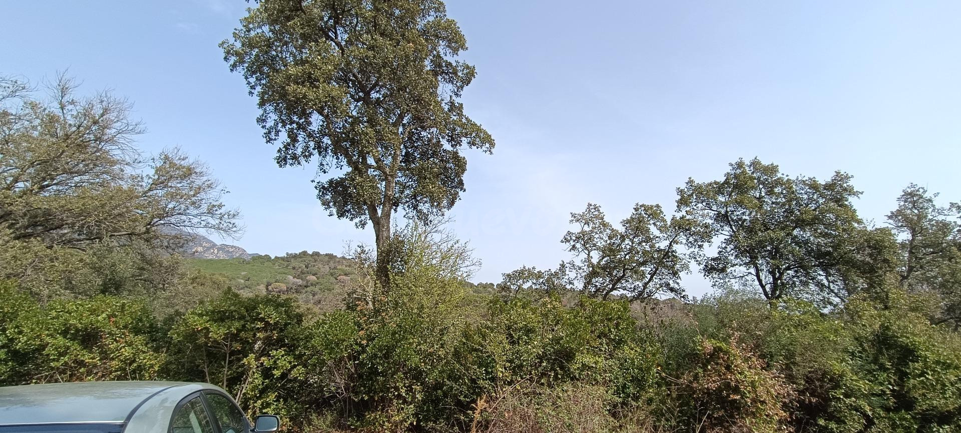 GRAN TERRENO EDIFICABLE ENTRE CAMPINS Y GUALBA RODEADA DE NA - foto 2