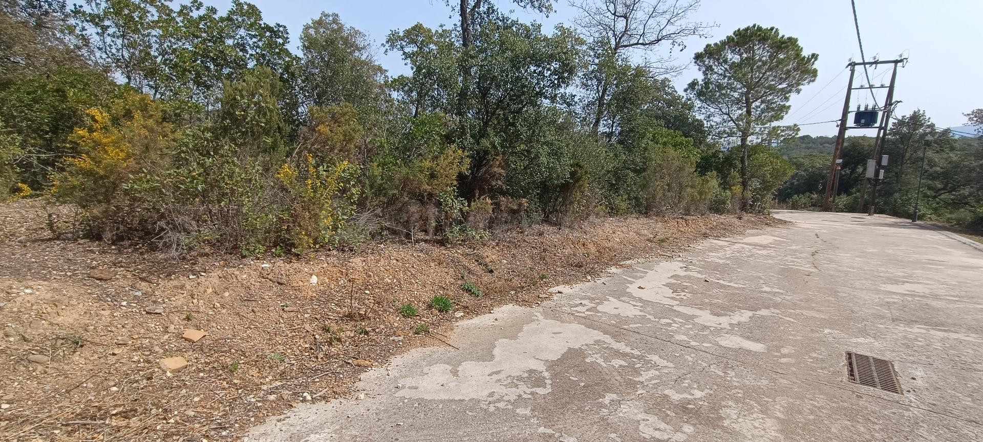 GRAN TERRENO EDIFICABLE ENTRE CAMPINS Y GUALBA RODEADA DE NA - foto 4