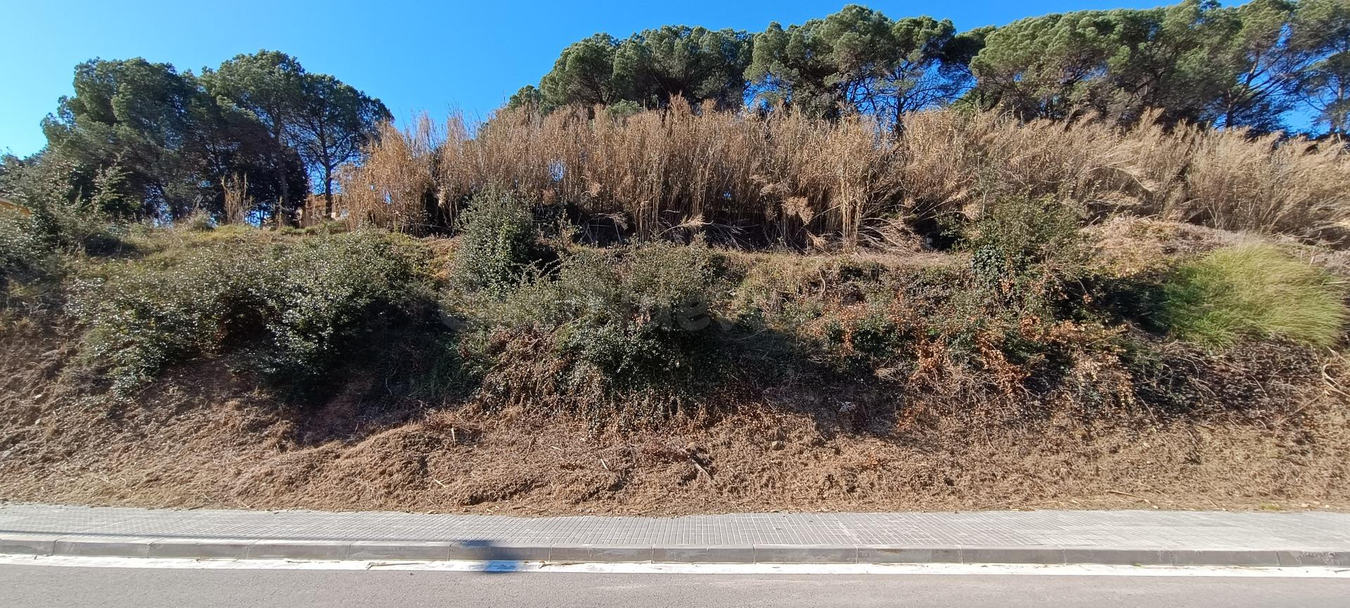 SANT CELONI (EL VIRGILI): GRAN TERRENO APTO PARA CHALET RODE