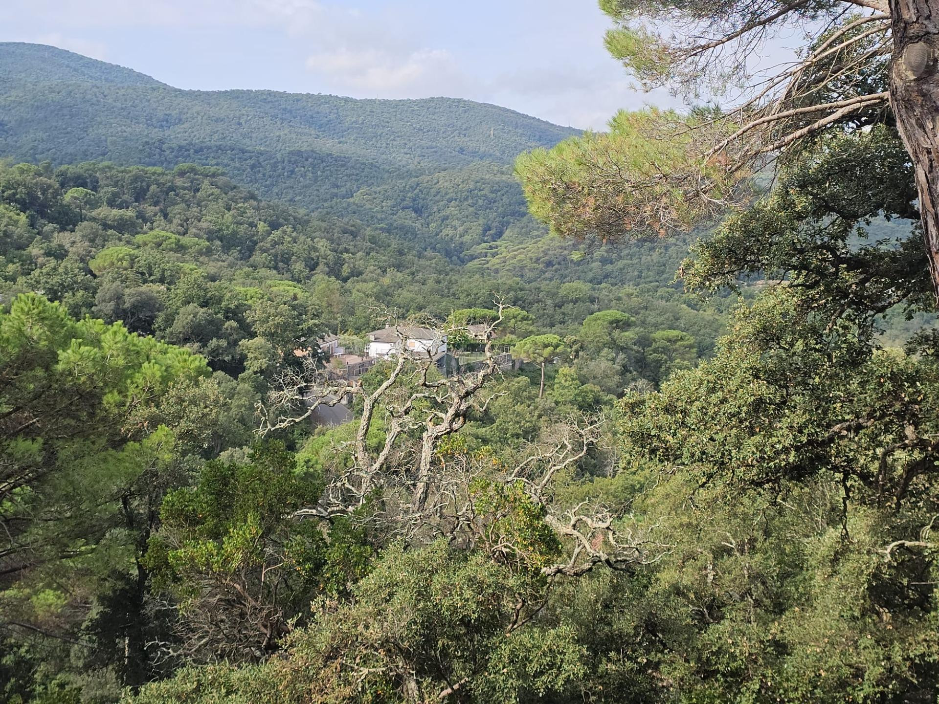 VALLGORGUINA (CAN PUIGDEMIR): IMAGÍNESE SU CASA AQUÍ, CON VI