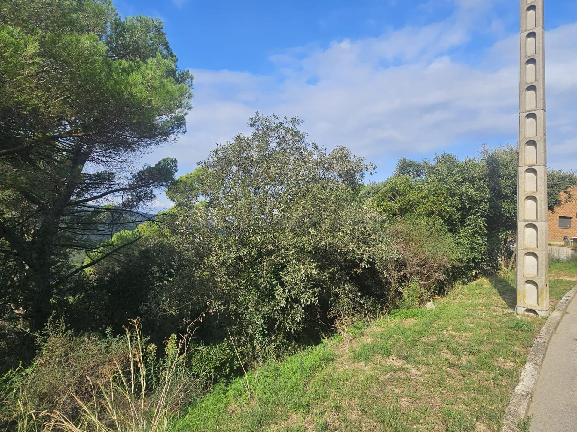VALLGORGUINA (CAN PUIGDEMIR): IMAGÍNESE SU CASA AQUÍ, CON VI - foto 3