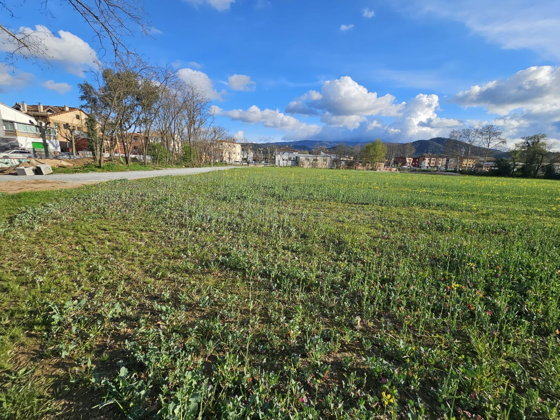 SANT CELONI - RIELLS I VIABREA: GRAN TERRENO UNIDAD DE ACTUA