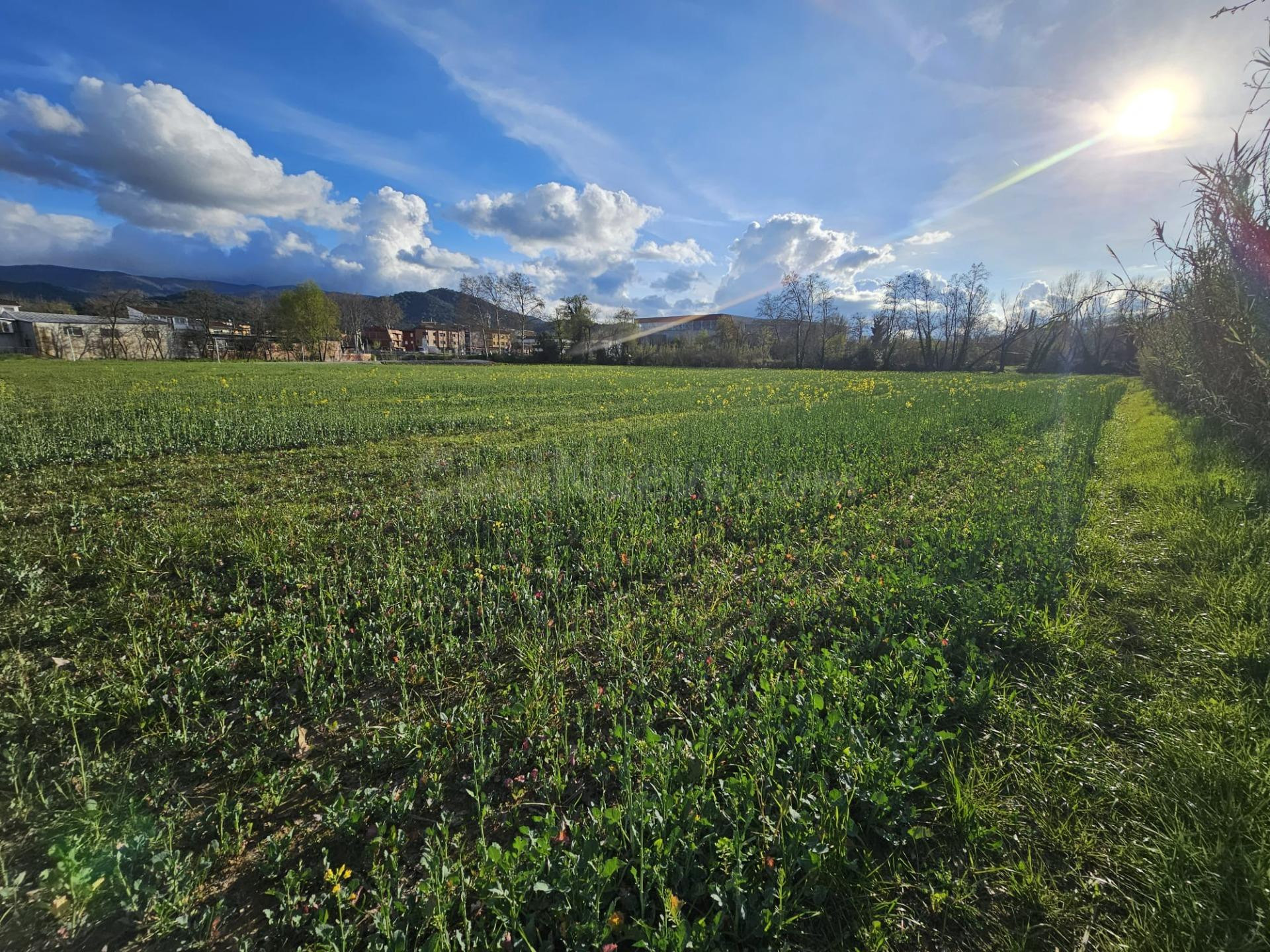 SANT CELONI - RIELLS I VIABREA: GRAN TERRENO UNIDAD DE ACTUA - foto 4