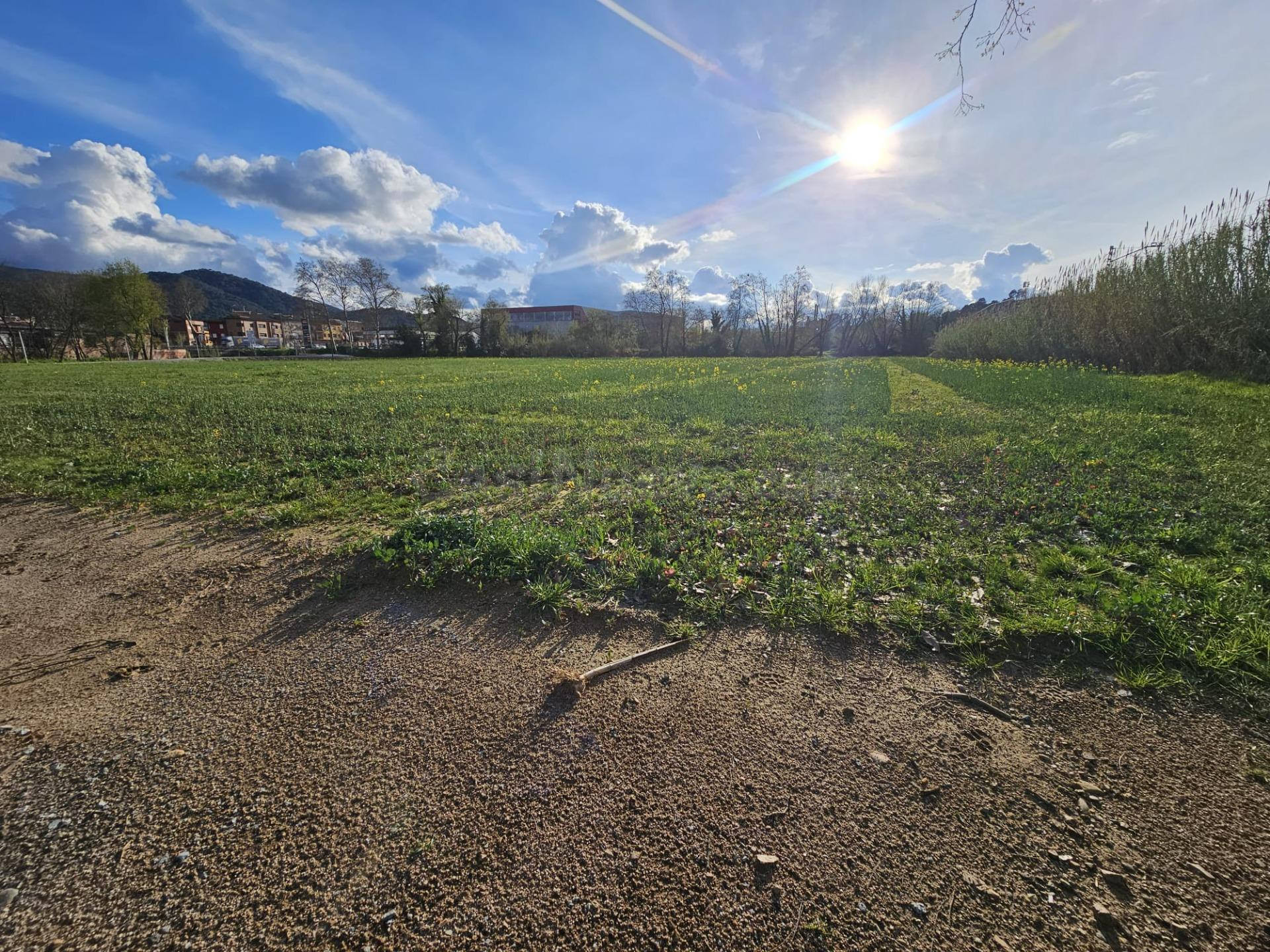 SANT CELONI - RIELLS I VIABREA: GRAN TERRENO UNIDAD DE ACTUA - foto 5