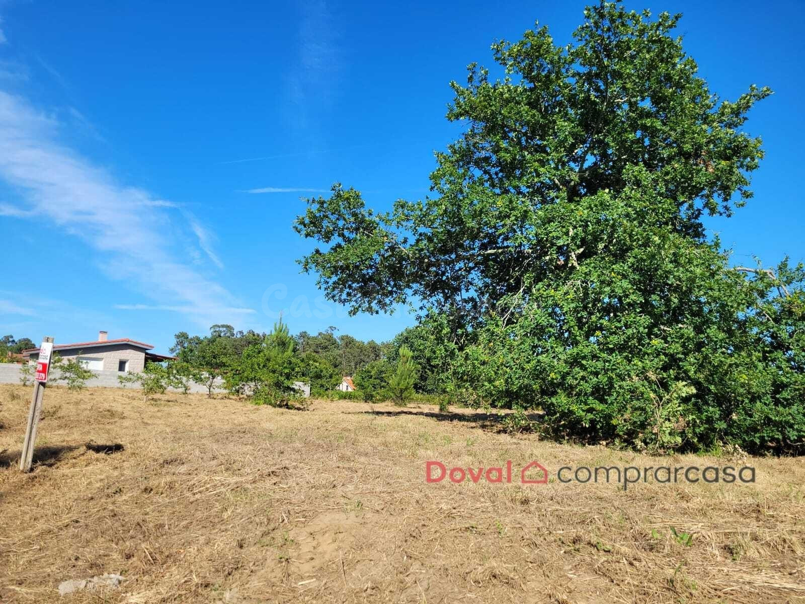Oportunidad en Tomiño: 1.940 m2 de terreno soleado y totalme - foto 4