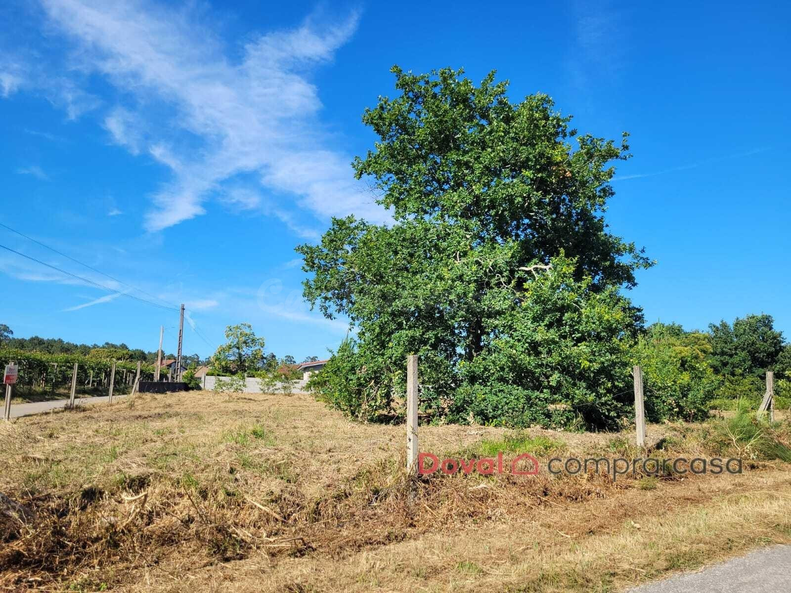 Oportunidad en Tomiño: 1.940 m2 de terreno soleado y totalme - foto 5