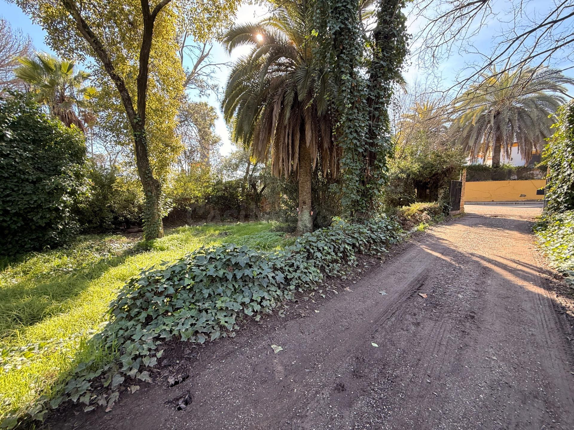 UN CHALET IDEAL SOBRE UNA PARCELA, CON POSIBILIDAD DE SEGREGACIÓN EN VARIAS UNIDADES, EN PLENO BRILLANTE