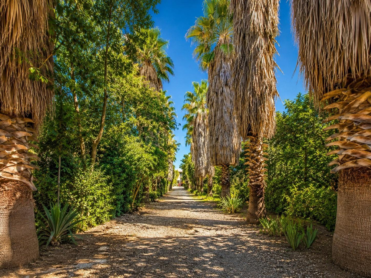 Un oasis de naturaleza y oportunidades a solo 12 minutos de  - foto 4