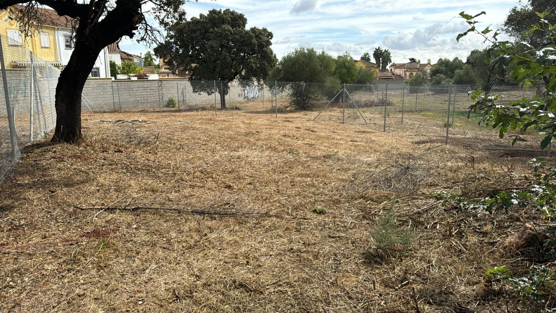 TERRENO URBANO EN LA ZONA DE LA COLINA - foto 2